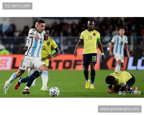 阿根廷甲级联赛精彩对决全程高清直播